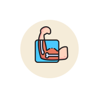 Scans & X-Ray Imaging